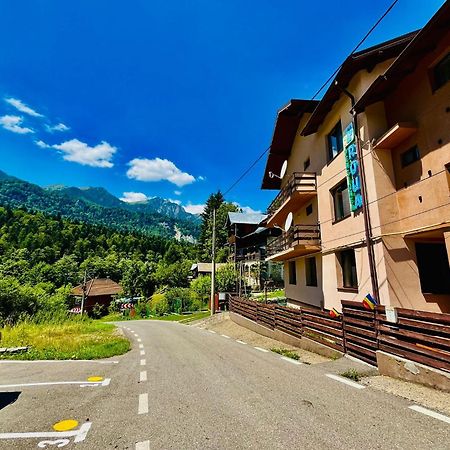 Pensiunea Roua Sinaia Exteriér fotografie
