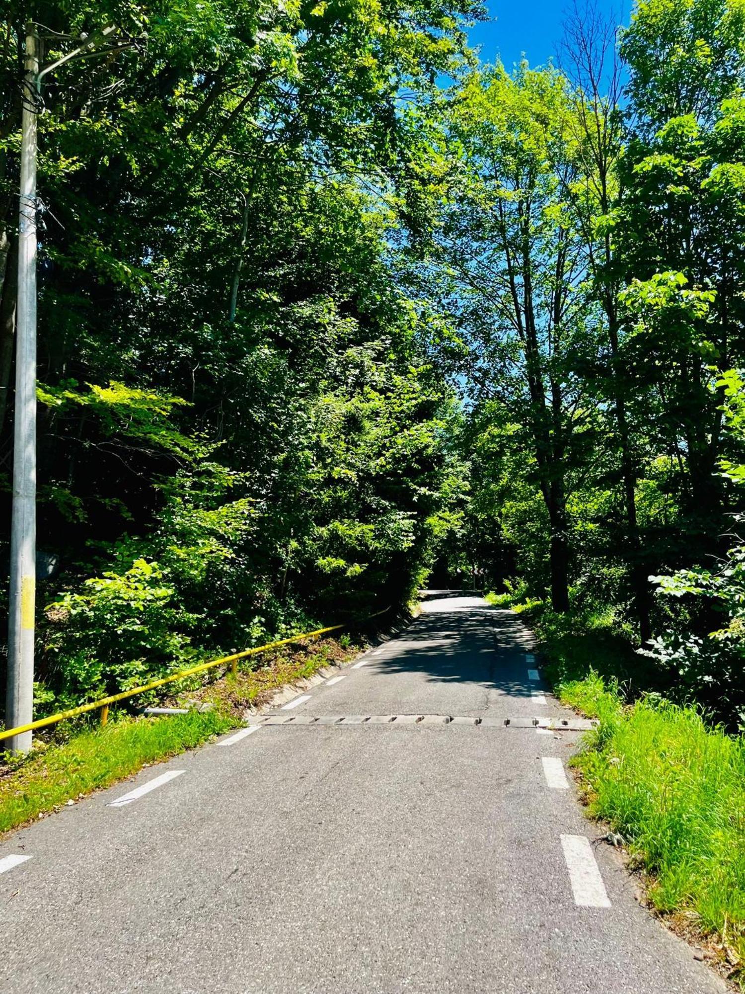 Pensiunea Roua Sinaia Exteriér fotografie